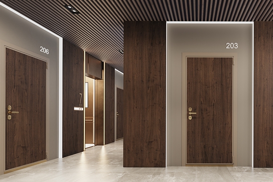 Входные двери Сэйф